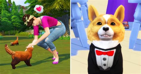 Sims 4 Cats & Dogs: Best Mods For The Game