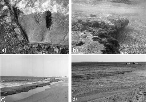 Characteristics of the beach rock formation at profile 2 (for location ...