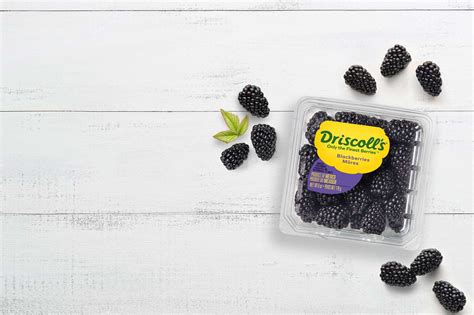 Fresh Blackberries & Organic Blackberries | Driscoll's