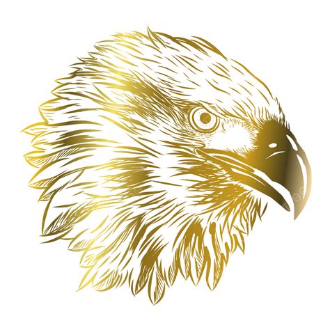 Hand Drawn Eagle Vector Design Images, Golden Eagle Hand Drawn Vector ...