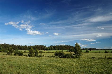 Belarusian nature