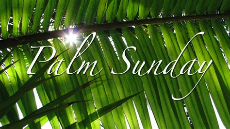 Palms, Praise, and Purpose — This week at ELC – Evangelical Lutheran ...