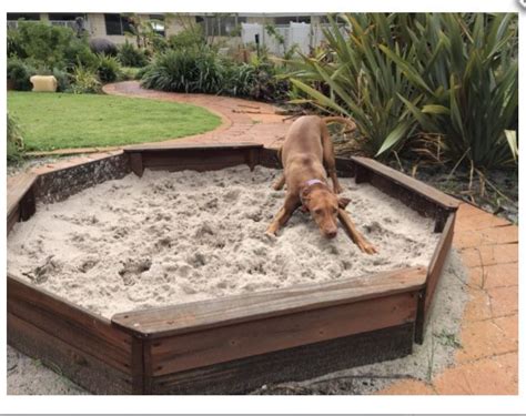 Sand pit in dog garden | Dog playground, Outdoor dog area, Dog backyard