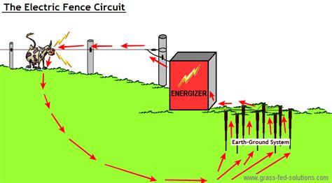 Electric Fence Set Up Diagram | Hot Sex Picture