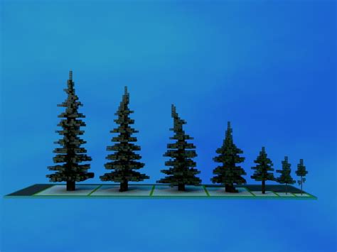 7 spruce trees bundle Minecraft Map