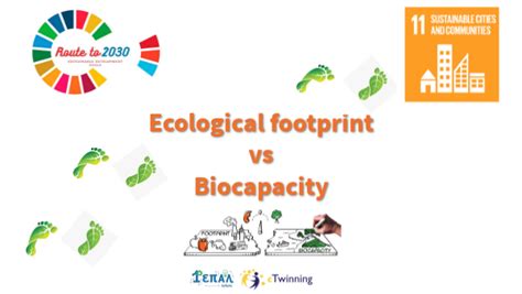 Ecological footprint vs Biodiversity