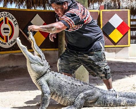 Miccosukee Indian Village alligator show Everglades, Florida | Must Do ...