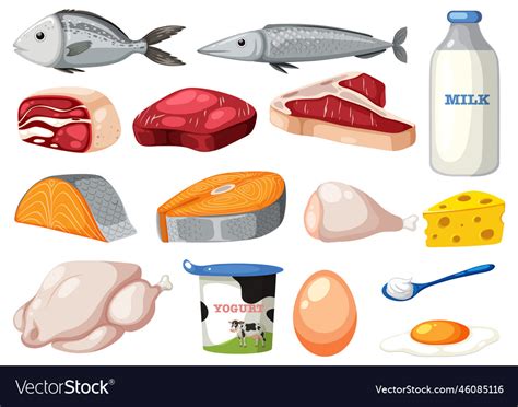 Set of cartoon protein food Royalty Free Vector Image