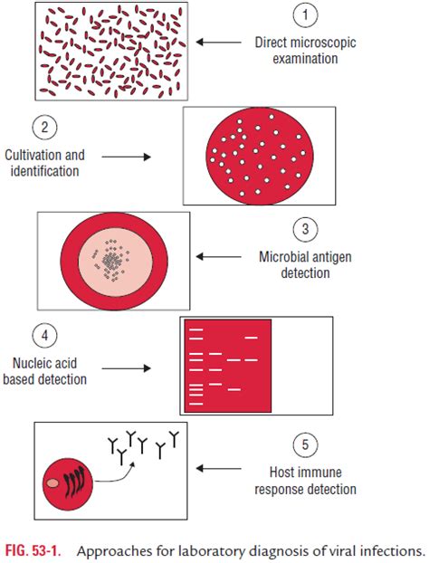 Virus Isolation - Methods of Laboratory Diagnosis of Viral Diseases