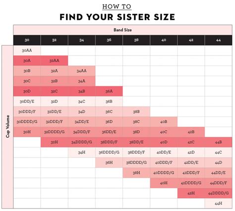 How to Measure Your Bra Size