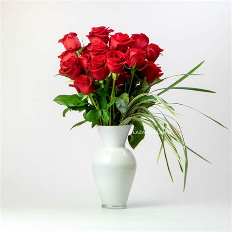 Just Red Roses In a vase | Flowers & Plants | Plaza Hollandi