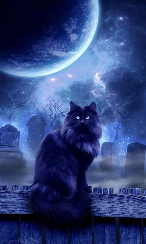 Mystic Cat Pictures, Photos, and Images for Facebook, Tumblr, Pinterest ...