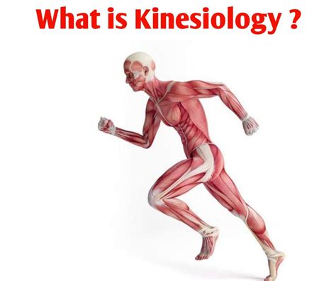 What is Kinesiology | Public Health