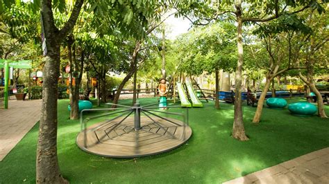 Bugz Family Playpark Fun for Kids in Cape Town | Kids Playground