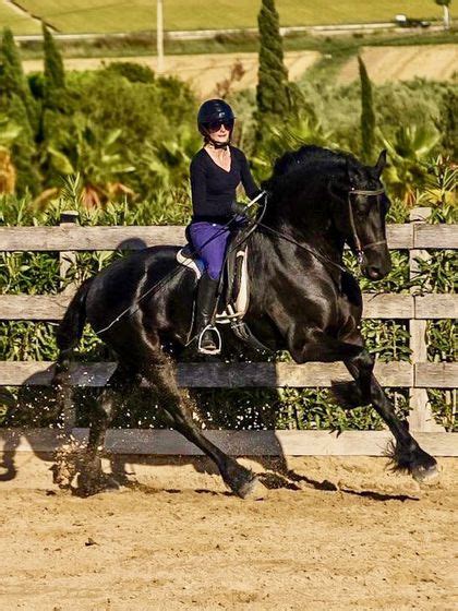 Friesian Dressage and Beach riding holiday in Spain - Far and Ride