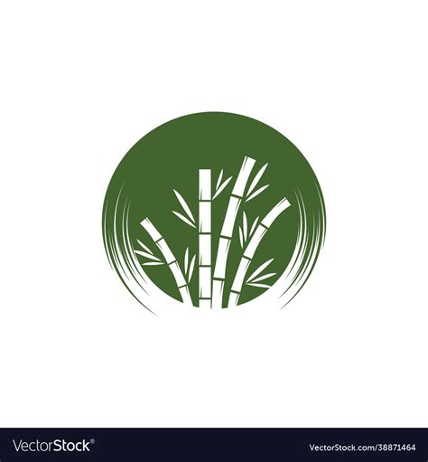 Bamboo with green leaf Royalty Free Vector Image