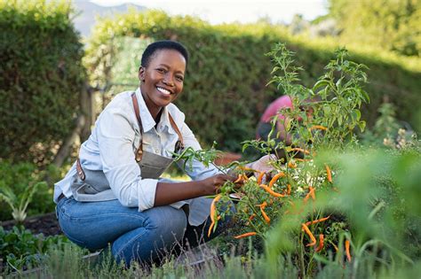 Merri Health | Gardening group - connect and grow