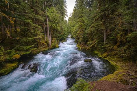 Mckenzie River Central Oregon - Free photo on Pixabay