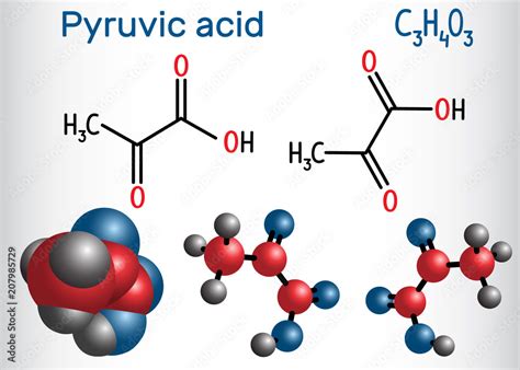 Pyruvic acid (pyruvate) molecule. It is the simplest of the alpha-keto ...