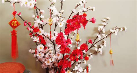 31 Chinese New Year Flowers + Fruits Ideas To Buy (2024)