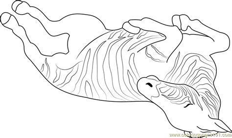 Zebra Sleeping Coloring Page for Kids - Free Zebra Printable Coloring ...