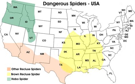 USA Dangerous Spider Map | Spiderzrule