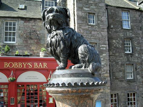 Greyfriars Bobby - Eye On Edinburgh