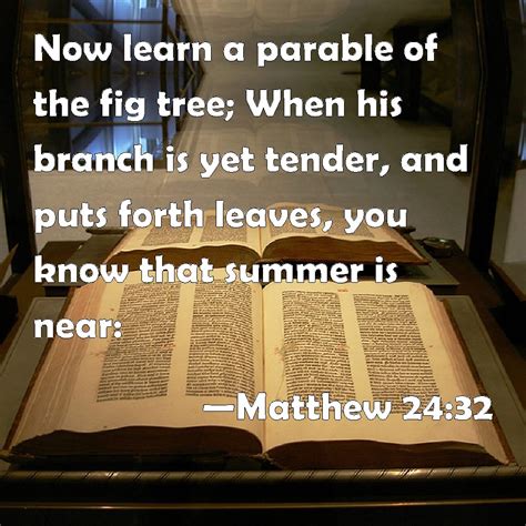 Matthew 24:32 Now learn a parable of the fig tree; When his branch is ...