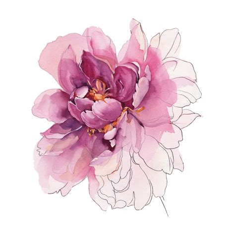 Temporary tattoos buy - "Watercolor peony" Color | Flower drawing ...