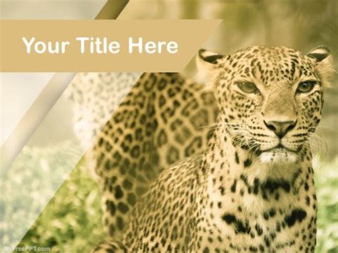 Free Leopard PowerPoint Templates - MyFreePPT.com