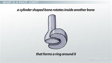 Pivot Joint Neck