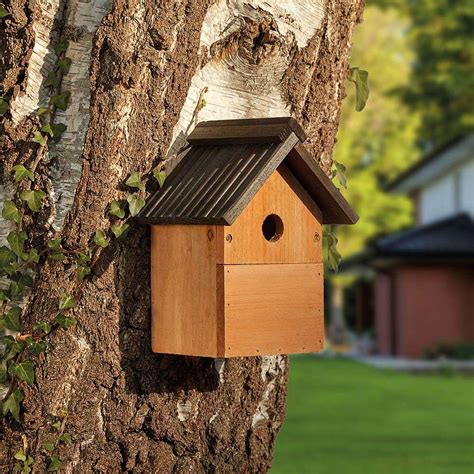 Multi-Purpose Nesting Box | Happy Beaks