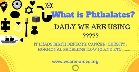 Phthalates and human health effects after eat out -new research report ...