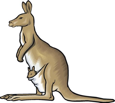 Free Kangaroo Clipart