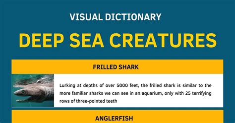 Deep Sea Creatures List with Amazing Facts and Pictures • 7ESL