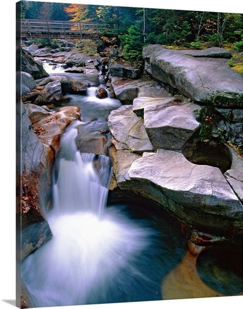 River Wild Wall Art, Canvas Prints, Framed Prints, Wall Peels | Great ...