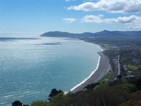 BSBI News & Views: Killiney Hill Park - Sunshine and Some Irish ...