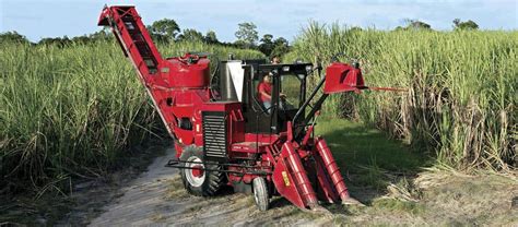 Sugar Cane Harvester Austoft 4000 | Case IH