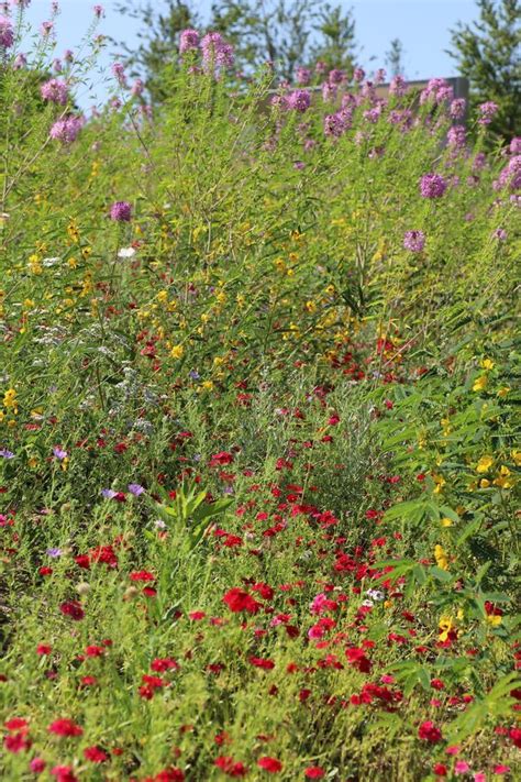 Wild Landscapes at the Botanical Garden, Greater Des Moines Botanical ...