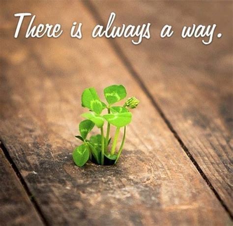 There is always a way - 9buz