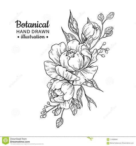 Flower Bouquet Vector Black And White – Idalias Salon