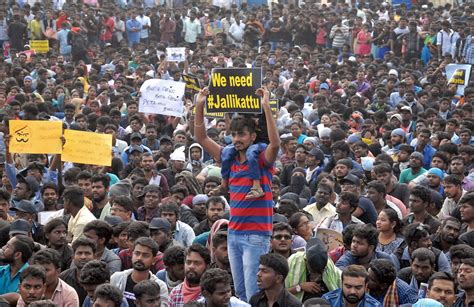 Jallikattu: Vehicles and police station set on fire as peaceful ...