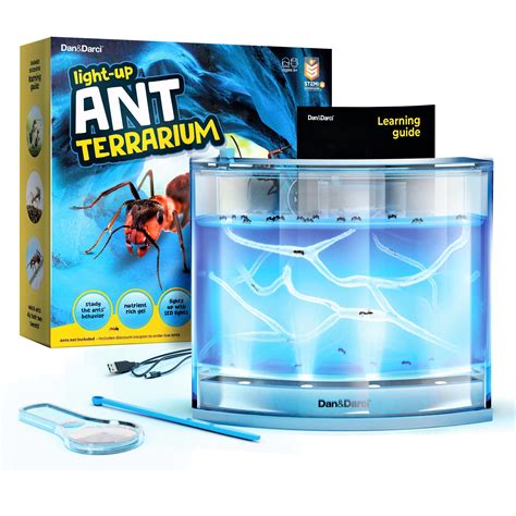 Buy Light-up Ant Farm Terrarium Kit for Kids – LED Ant Habitat for Live ...