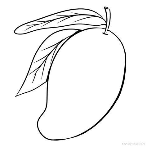 Mango Drawing | Free download on ClipArtMag