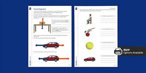 Force Diagrams Independent Learning Worksheet | Beyond