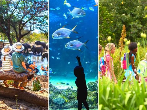 Virtual Travel for Kids: Virtual Field Trips, Zoos, Museum Tours