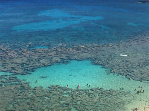 Complete Guide to Snorkeling Hanauma Bay - Adventure Tours Hawaii