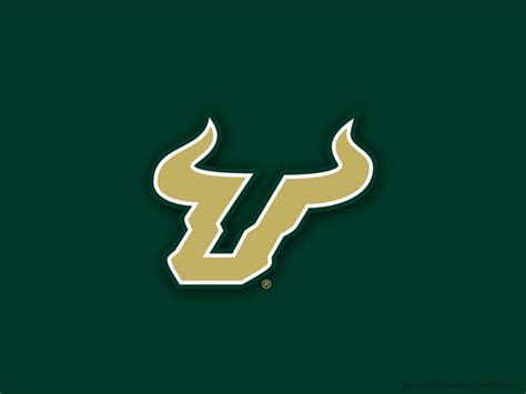 USF Logo, bulls, university of south florida, HD wallpaper | Peakpx