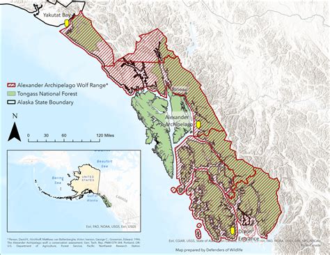 The Path Forward for Alaska’s Alexander Archipelago Wolves | Defenders ...