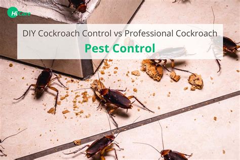 DIY Vs Professional Cockroach Pest Control | HiCare